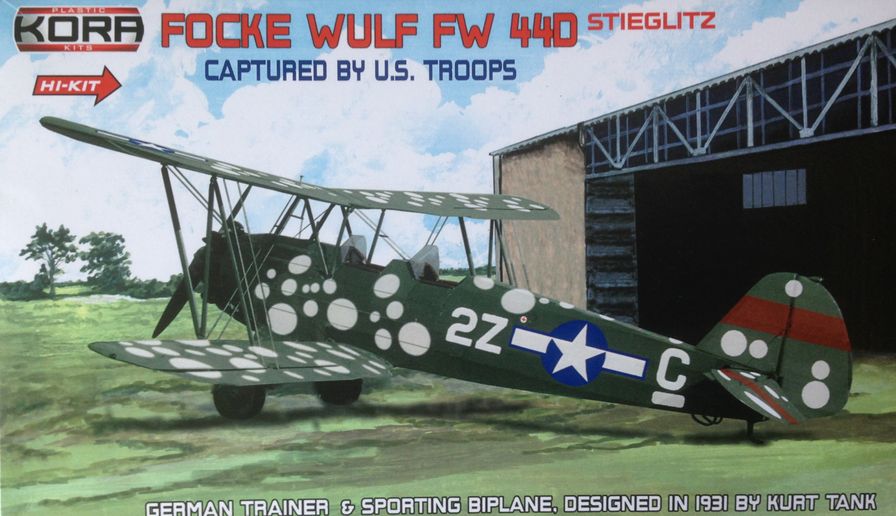 Focke Wulf Fw 44D, Captured by US troops