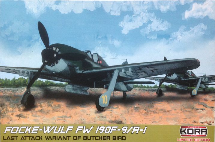 Focke-Wulf Fw-190F-9/R-1 German attack bomber