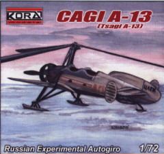 CAGI A-13