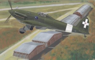 Caproni-Vizzola F.6M